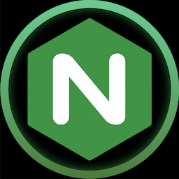 NGINX GPT